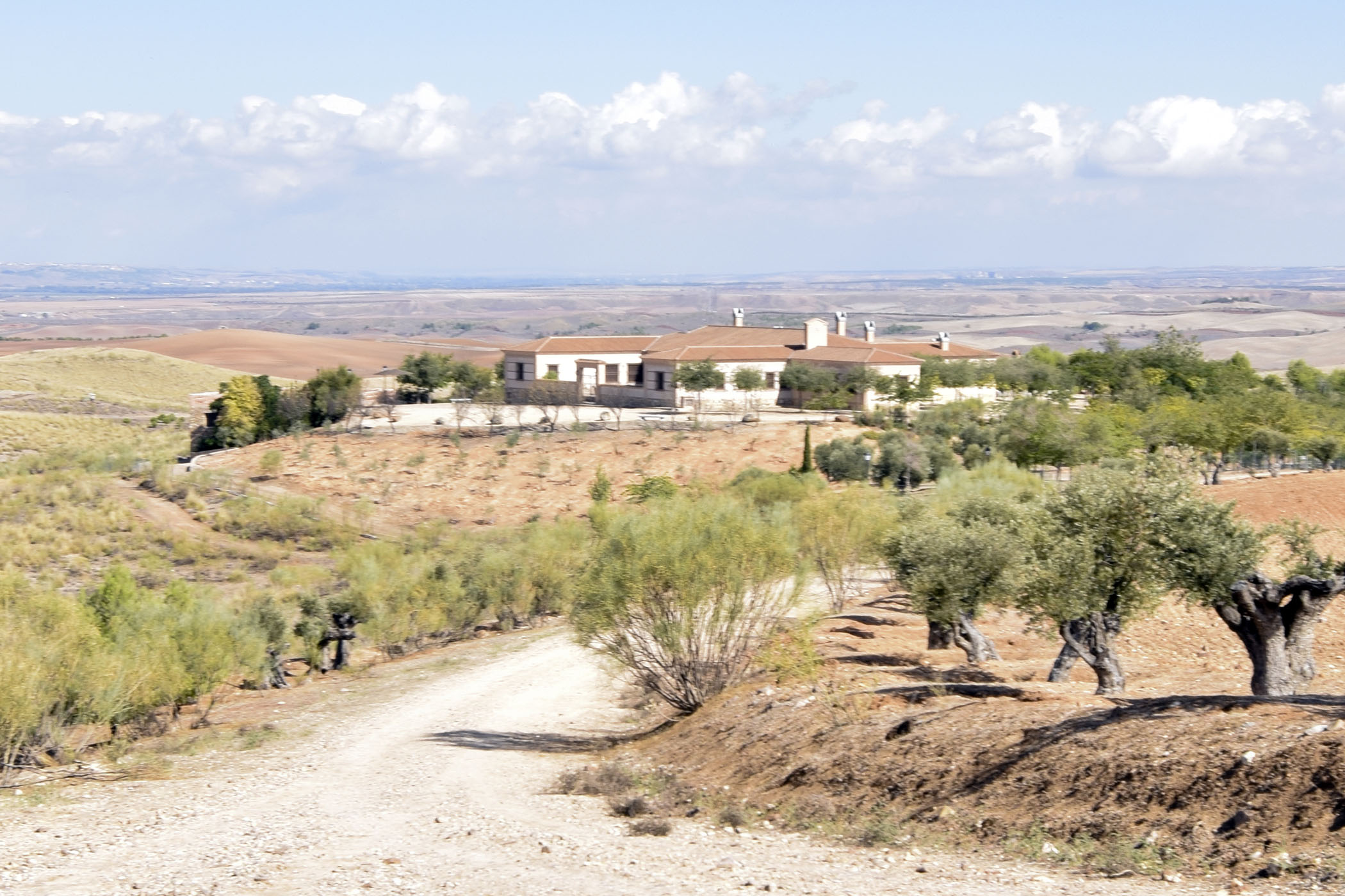 El Quintillo. Fundación Carral.Nambroca.Toledo