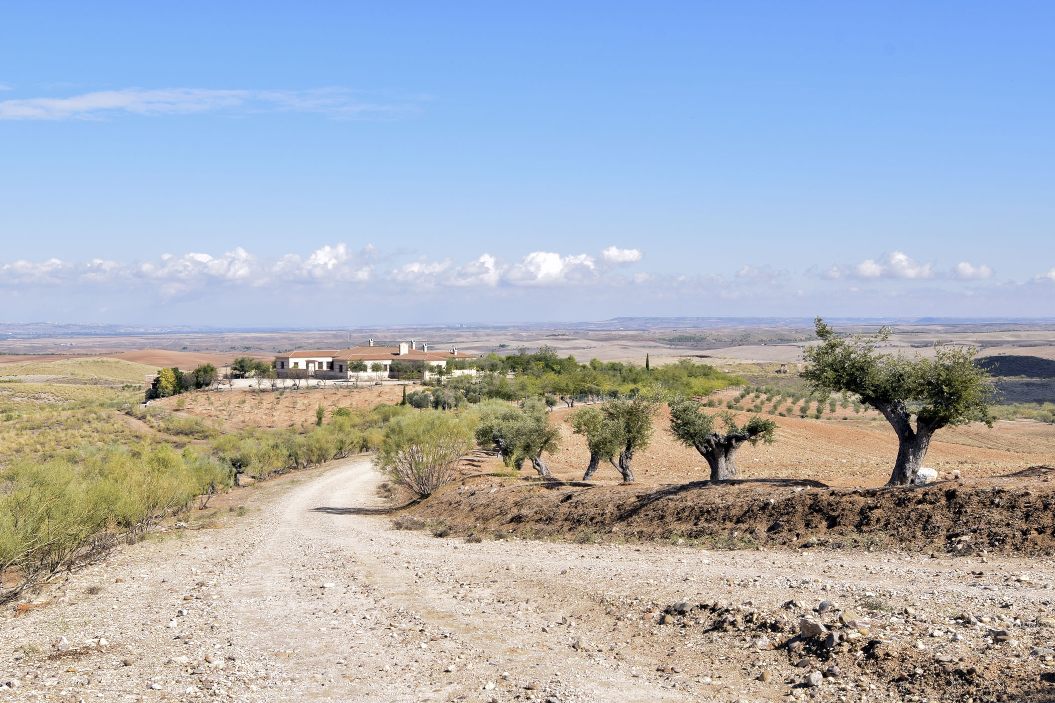 El Quintillo. Fundación Carral.Nambroca.Toledo