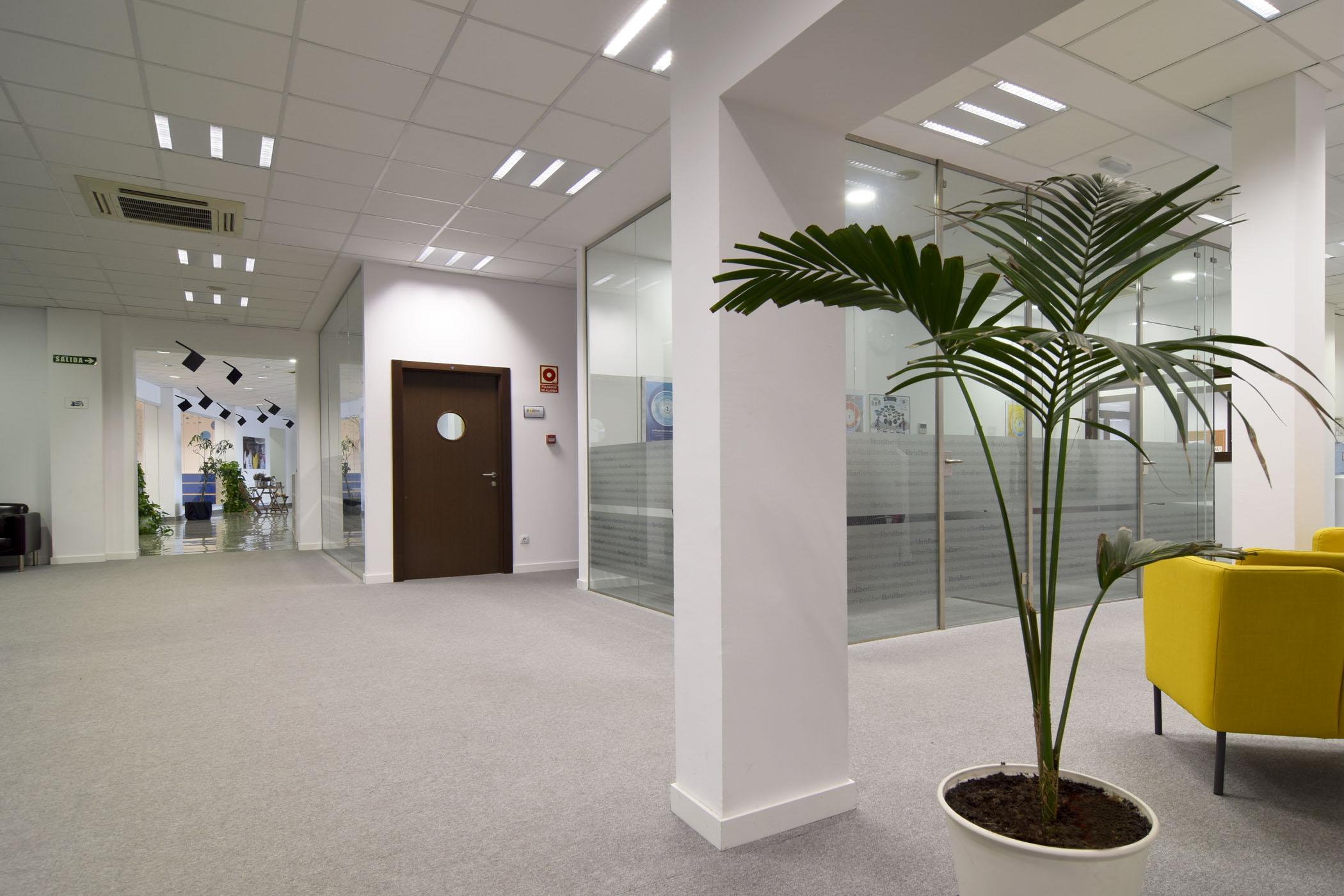 International School San Patricio.Toledo