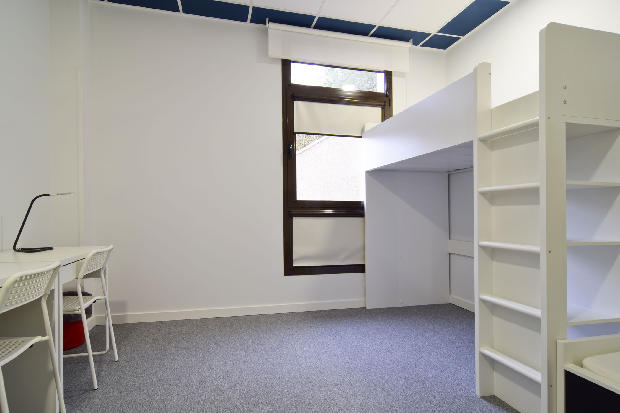 International School San Patricio.Toledo